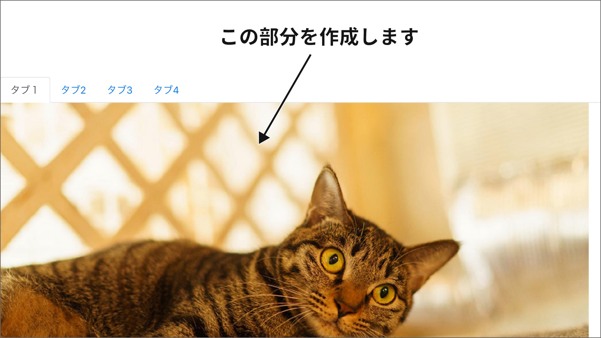 写真部分
